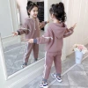 The 2024 new autumn and winter sports set for girls, a two-piece, fleece and thickened casual girls' hoodie set for Zhongda Children Specification image